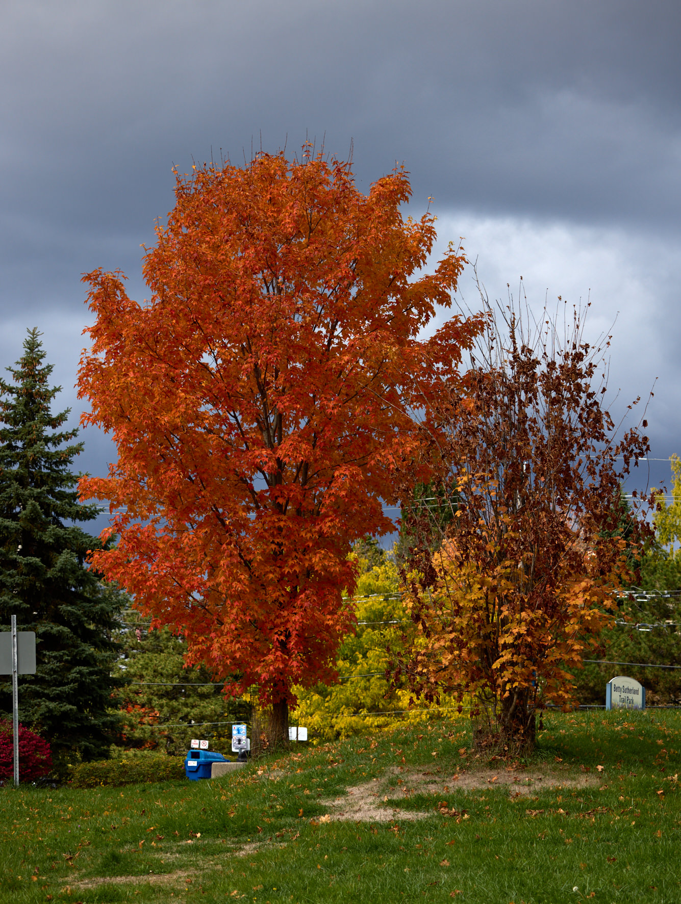 Снова всё разноцветное